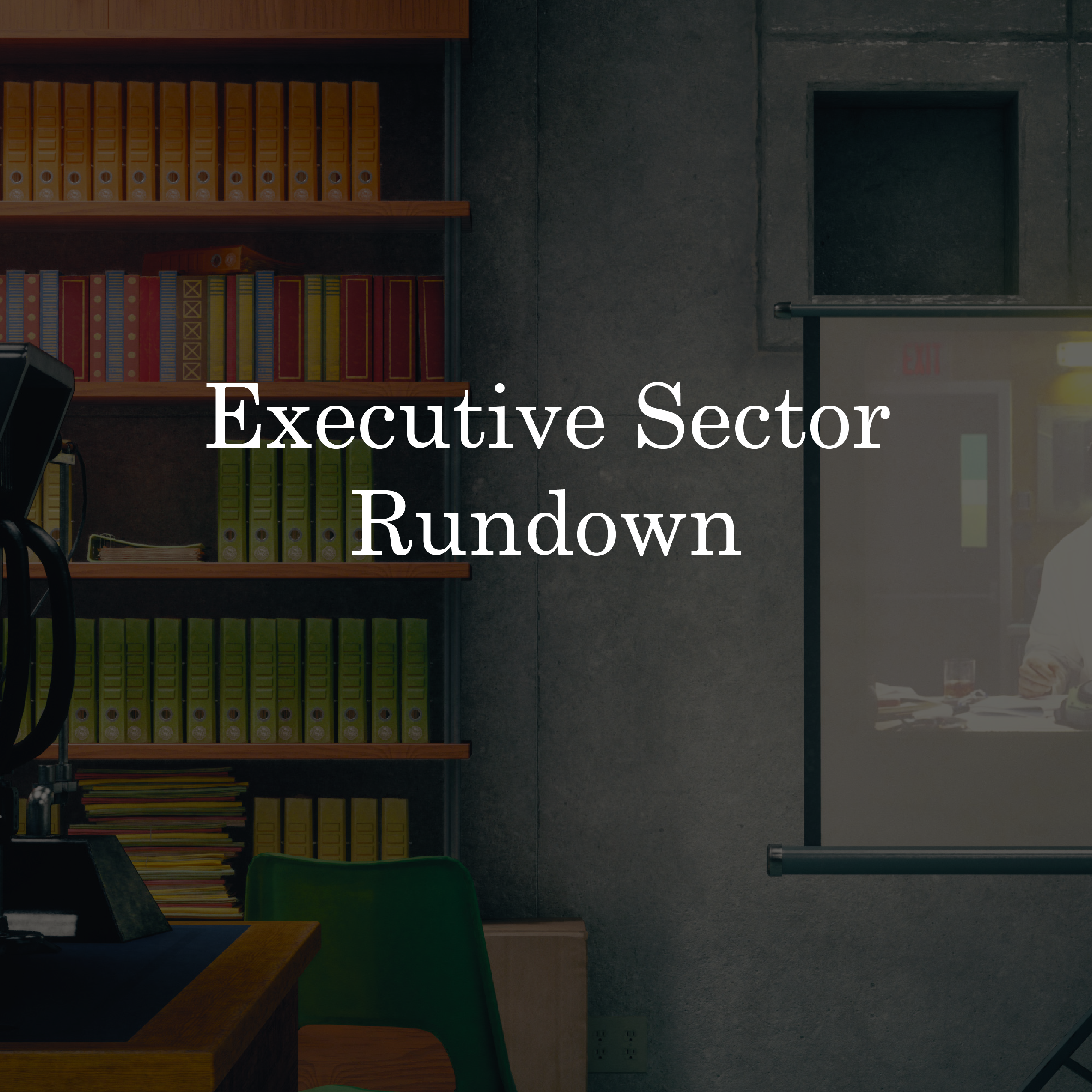 Executive Sector Rundown